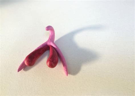 Im Orgasming During Sex Almost Every Single Time For The First Time In My Life Dont Settle