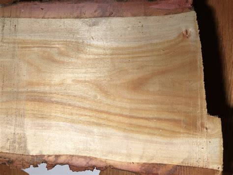 White Willow | The Wood Database (Hardwood)