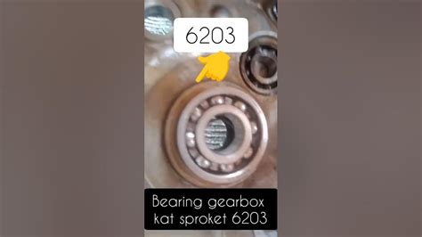 Saiz Bearing Enjin Ex5 Dream Youtube