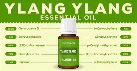 20 Best Essential Oils For Sex And Increased Libido Backed By Research