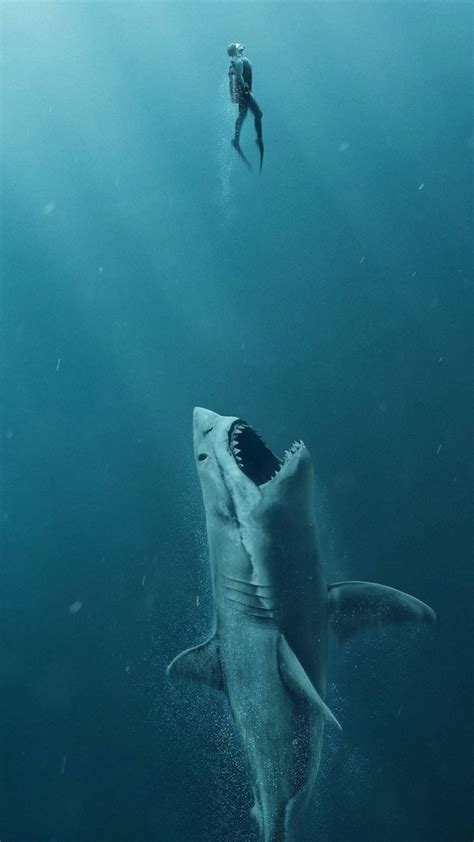 Human vs 🦈 shark | Shark pictures, Shark photos, Shark art
