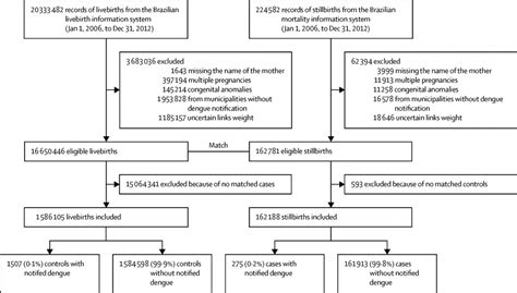 Symptomatic Dengue Infection During Pregnancy And The Risk Of Stillbirth In Brazil 2006 12 A