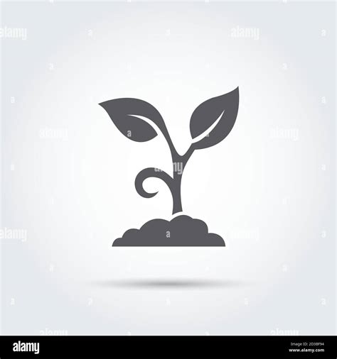 Seedling Process Seed Icon Silhouette Vector Illustration Stock