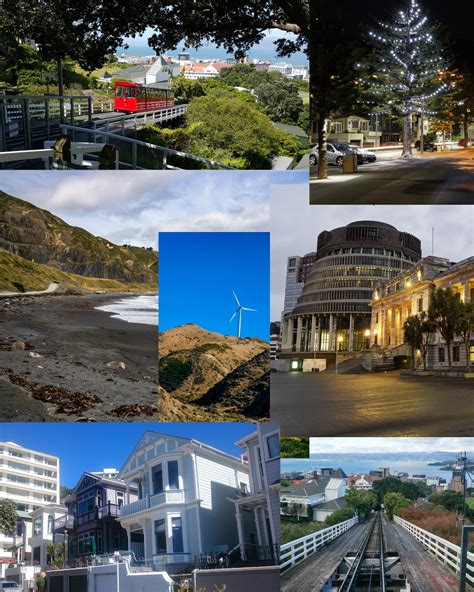 wellybuzz wellington