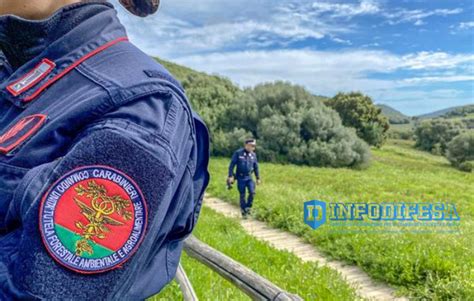 Come Diventare Un Carabiniere Forestale Funzioni Requisiti E Prove