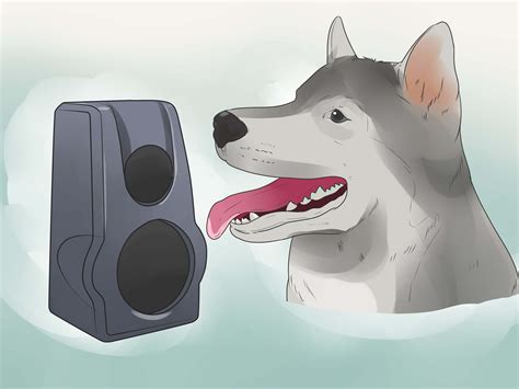3 Ways to Deal With a Neighbor's Barking Dog - wikiHow