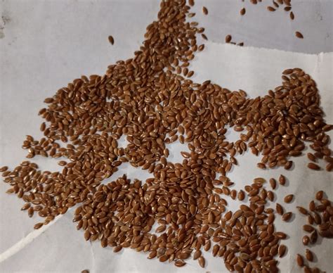 Купить коричневые семена льна по оптовым ценам