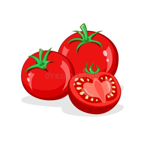 Tomato. Whole and Half Cut Tomatoes. Vector Cartoon Illustration Stock Vector - Illustration of ...