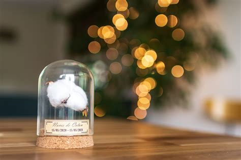 Cadeau Noces De Coton An De Mariage Cloche En Verre Etsy