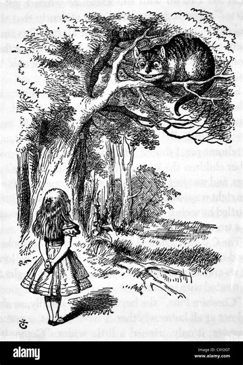 Alice Et Le Chat De Cheshire Laventure Dalice Au Pays Des Merveilles