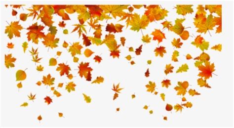 falling leaves png images  transparent falling leaves