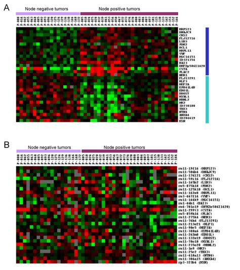 Gene Expressions And Copy Numbers Associated With Metastatic Phenotypes