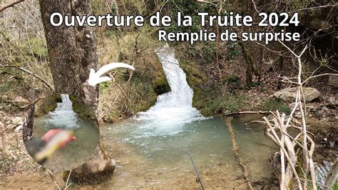 Ouverture De La Truite Dans Un Ruisseau De Montagne K Youtube