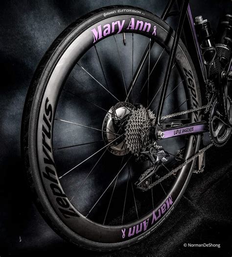 Road Bikes | Northern Virginia - Zephyrus Bikes