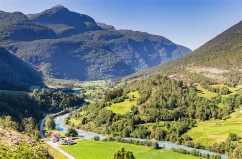 30+ Fortun Stock Photos, Pictures & Royalty-Free Images - iStock