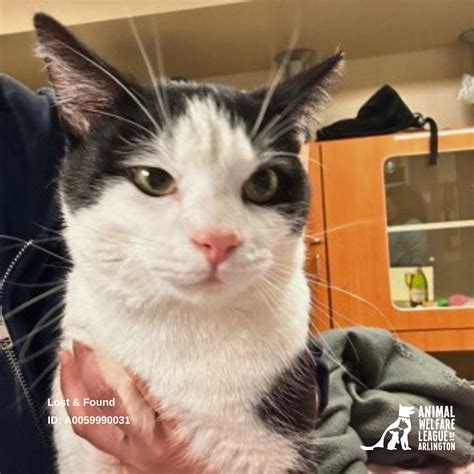 Animal Welfare League of Arlington | Arlington VA