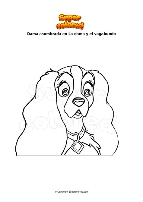 Dama Y Vagabundo 9