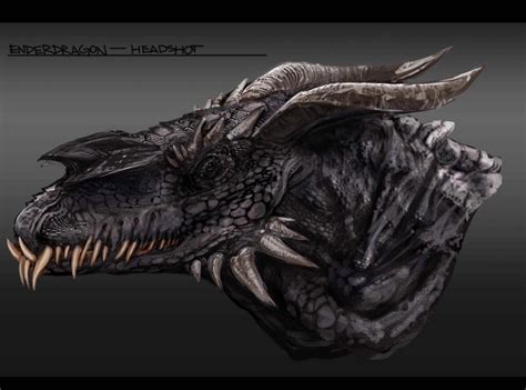 Realistic Ender Dragon Minecraft Ender Dragon Mod Bodrumwasuve