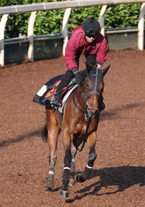 【オークス】リバティアイランド2冠へ万全、中内田師「1度使って動きがもうひとつ良くなった」 3歳馬特集 競馬 日刊スポーツ