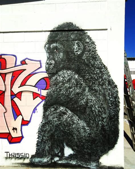 #monkey #stencilart #graffitiart #graffitibrasil #sampagraffiti #graffitisp #stencilism # ...