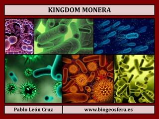 Kingdom Monera | PPT