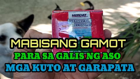 Mabisang Gamot Para Sa Galis Aso Pati Garapata At Kuto Siguradong Tipok