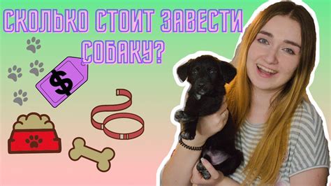 ПЕРВЫЕ ПОКУПКИ ДЛЯ СОБАКИ! ЧТО НУЖНО ДЛЯ ПОЯВЛЕНИЯ ЩЕНКА? СКОЛЬКО ДЕНЕГ ...