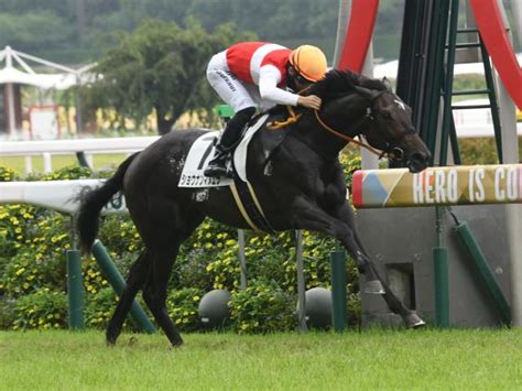 【メイクデビュー中京6rレース後コメント】ショウナンマヌエラ西村淳也騎手ら 競馬ニュース Netkeiba