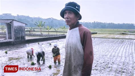 Pemkab Pangandaran Terapkan Program Lumbung Pangan Mandiri Untuk