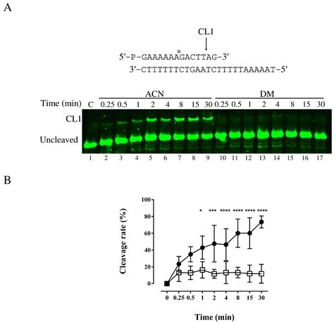 Cells Free Full Text Dimethylmyricacene An In Vitro And In Silico