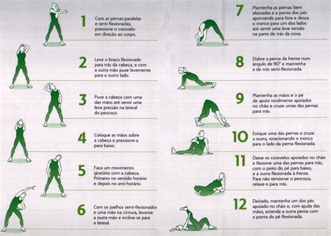 Por Que é Importante Fazer Alongamento Antes De Qualquer Exercício