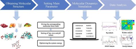 Molecular Dynamics Simulations Creative Biostructure