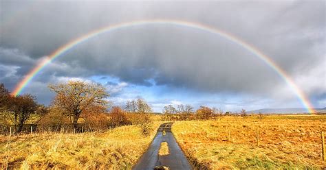 Rainbow | Пикабу