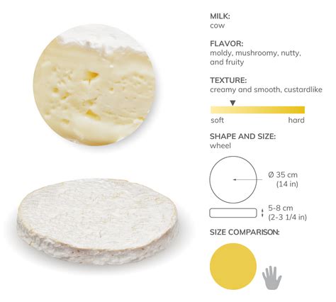 Brie de Meaux | Local Cheese From Meaux, France