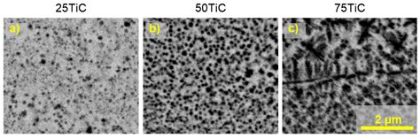 Coatings Free Full Text Influence Of Tic Addition On Corrosion And