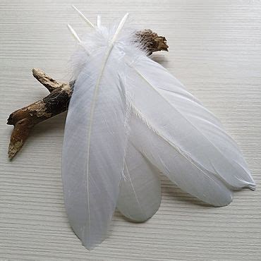 Перья – Купить на Ярмарке Мастеров | Аксессуары и материалы для рукоделия