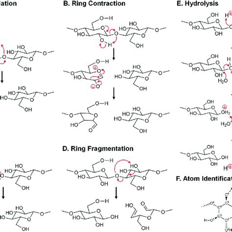 Scheme Of Cellulose Glycosidic Bond Cleavage Near The Reactive Melting Download Scientific