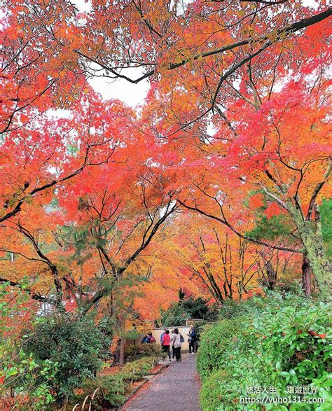 京都賞楓景點 🍁分享京都人氣且優美的楓紅景點！👍😊 日本旅遊板 Dcard