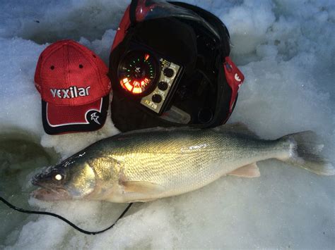 A Good Lake Winnipeg Walleye Made Possible By Vexilar Flx 28 Lake