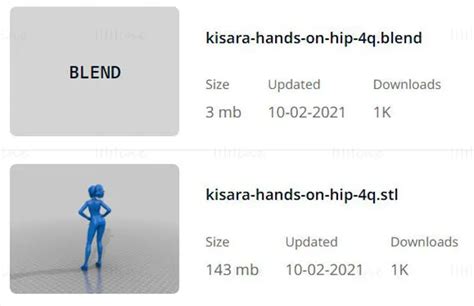 Kisara In A Bikini D Stl File