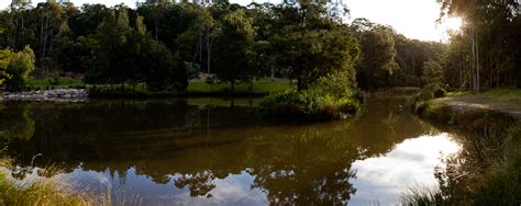 grid photographing blackbutt reserve urban insider