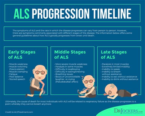 7 Stages Of Als