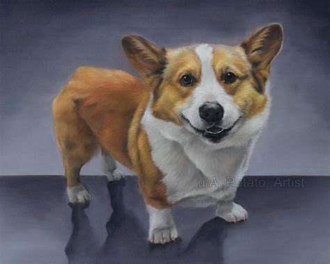 Pin On Corgi Corgi Corgi