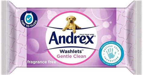 Andrex Washlets Gentle Clean – welzo