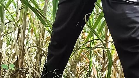 Free Extreme Blowjob Gay Porn Videos XHamster