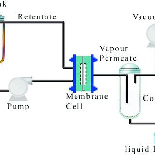 Pervaporation system. | Download Scientific Diagram