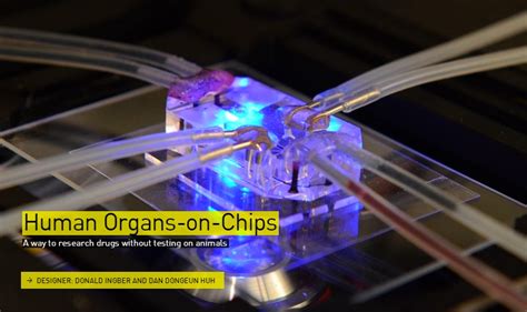 Human Organs On Chips The Designs Of The Year 2015 Nominees Design