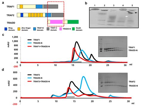 comparison  target recognition  traf  traf