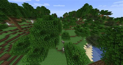 Forest – Minecraft Wiki