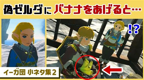 【ティアキン】イーガ団が化けた偽ゼルダにバナナをあげると隠しセリフが！？ゲームに隠れた細かすぎる小ネタ集【ゼルダの伝説 ティアーズ オブ ザ